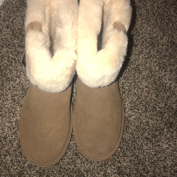 Bearpaws - Picture 3 of 4